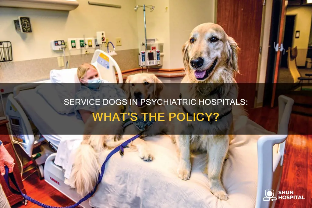are service dogs allowed in psychiatric hospitals
