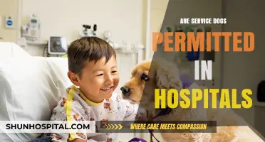 Service Dogs in Hospitals: Understanding Policies and Access Rights
