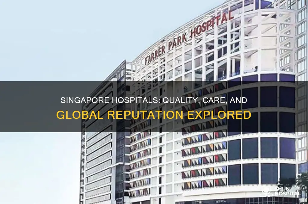 are singapore hospitals good