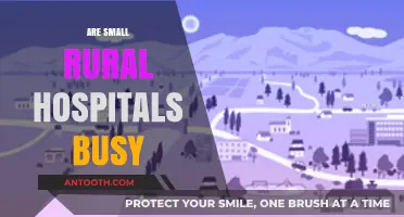 Are Small Rural Hospitals Overwhelmed? Exploring Their Daily Workload
