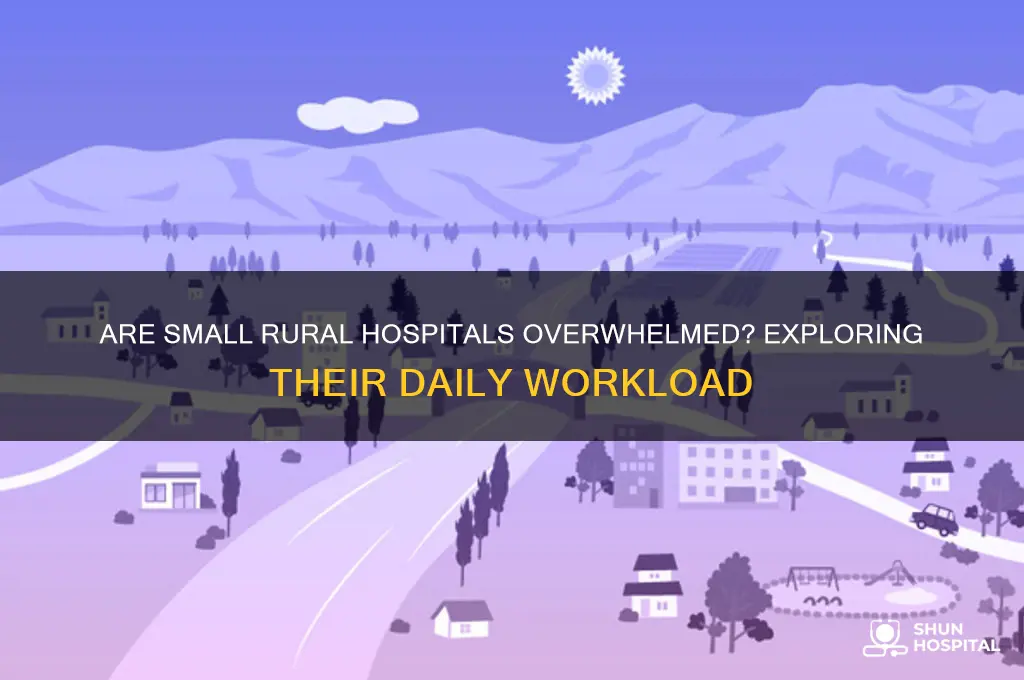 are small rural hospitals busy