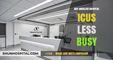 Are Smaller Hospital ICUs Less Busy? An In-Depth Analysis