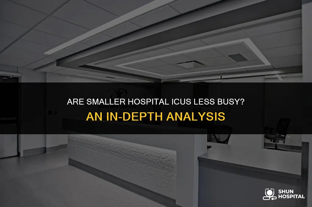 are smaller hospital icus less busy