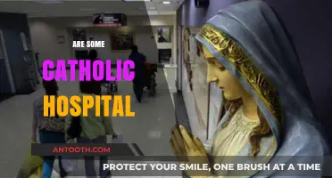 Are Some Catholic Hospitals Restricting Patient Care? A Critical Look