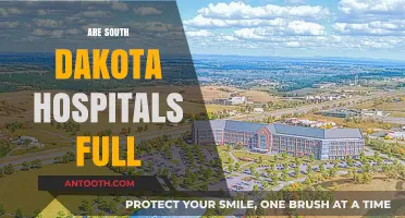Are South Dakota Hospitals at Capacity? Current Status and Insights