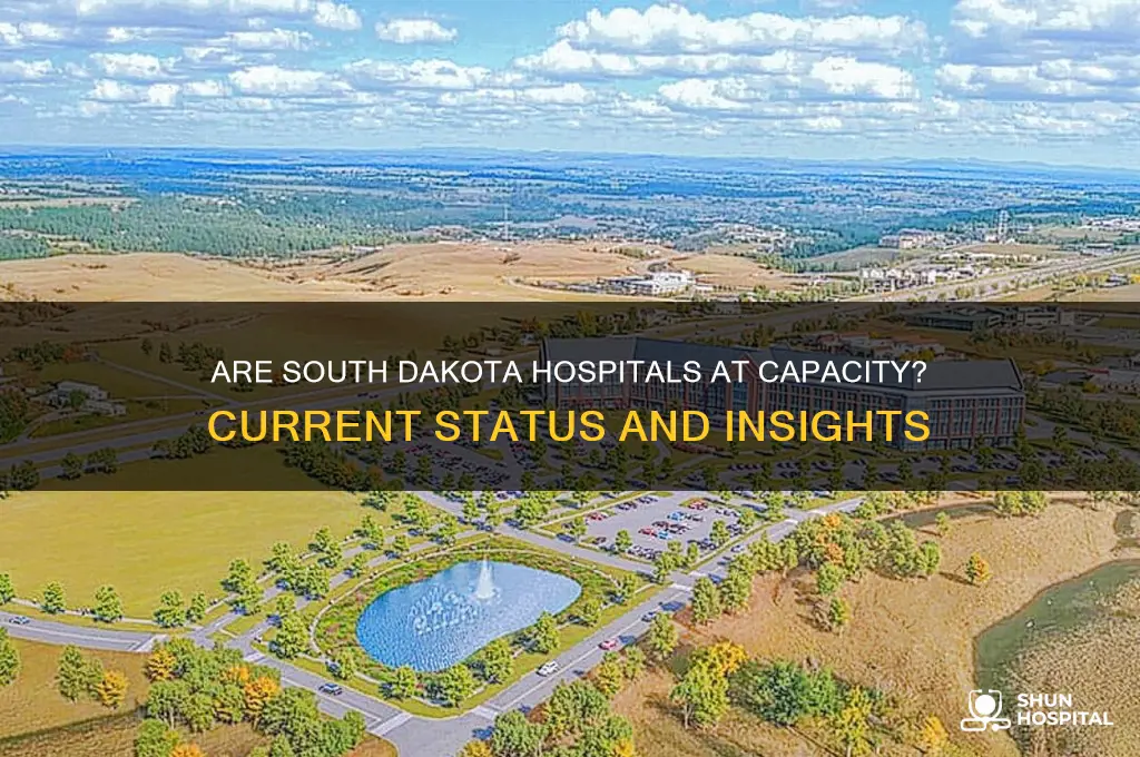 are south dakota hospitals full