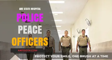 Understanding the Role of State Hospital Police as Peace Officers