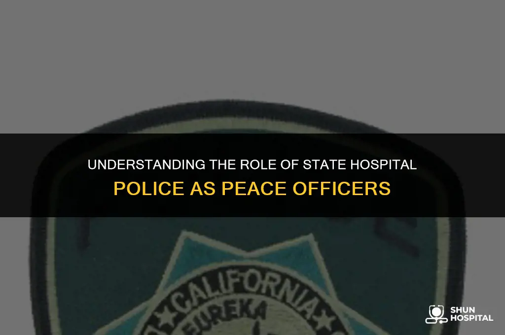 are state hospital police peace officers