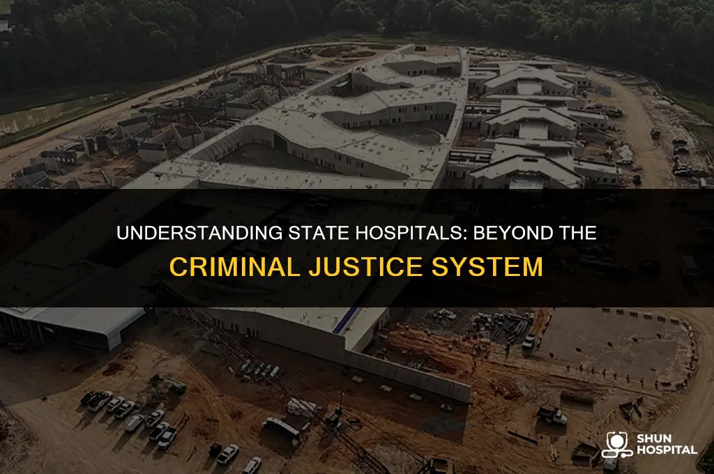 are state hospitals only for criminals