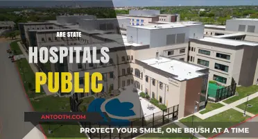 Are State Hospitals Public? Understanding Ownership and Accessibility