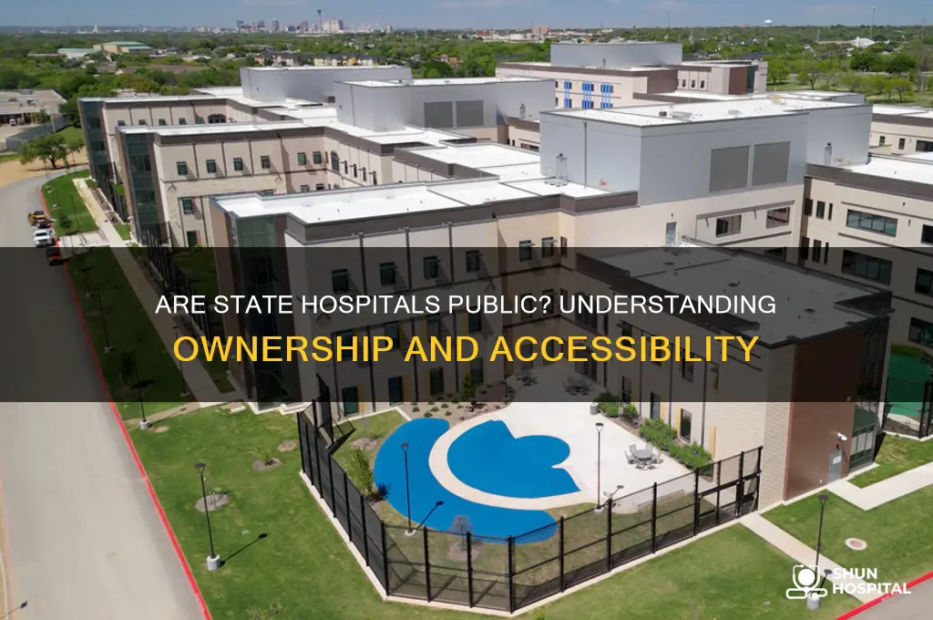 are state hospitals public