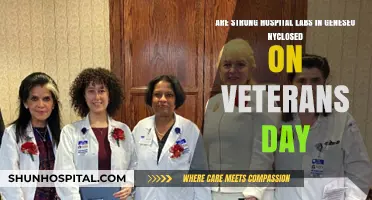 Are Geneseo NY Hospital Labs Open on Veterans Day?