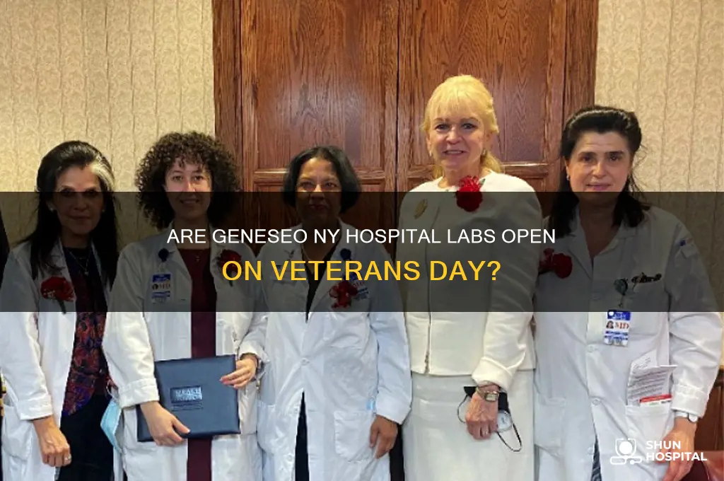 are strong hospital labs in geneseo nyclosed on veterans day