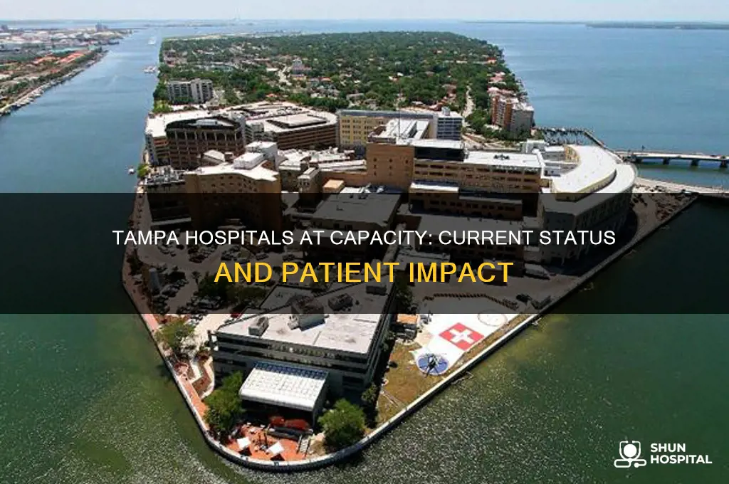 are tampa hospitals at capacity