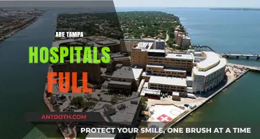 Tampa Hospitals at Capacity: What's Causing the Surge?