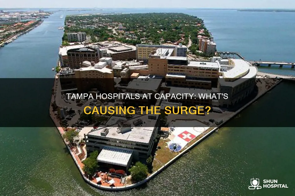 are tampa hospitals full