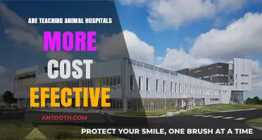 Animal Teaching Hospitals: Cost-Effective Care?