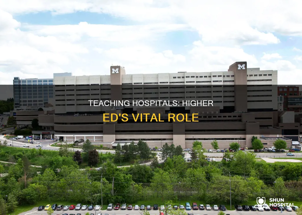 are teaching hospitals part of higher ed