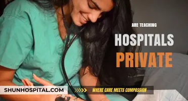 Are Teaching Hospitals Private? Understanding Ownership and Funding Models