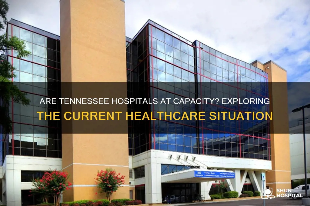 are tennessee hospitals full