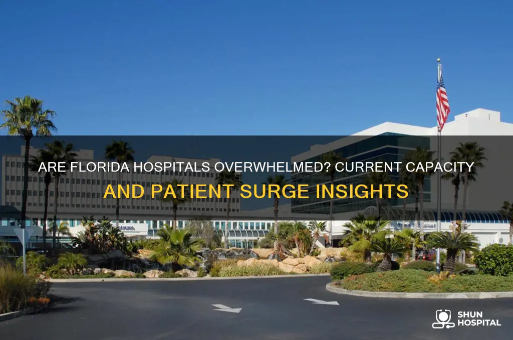 are the florida hospitals full