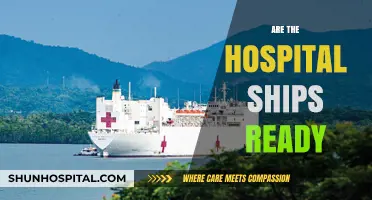 Are Hospital Ships Prepared for Modern Crises? A Critical Assessment