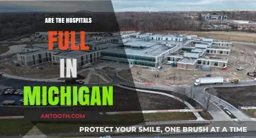 Michigan Hospitals: Are They at Full Capacity?