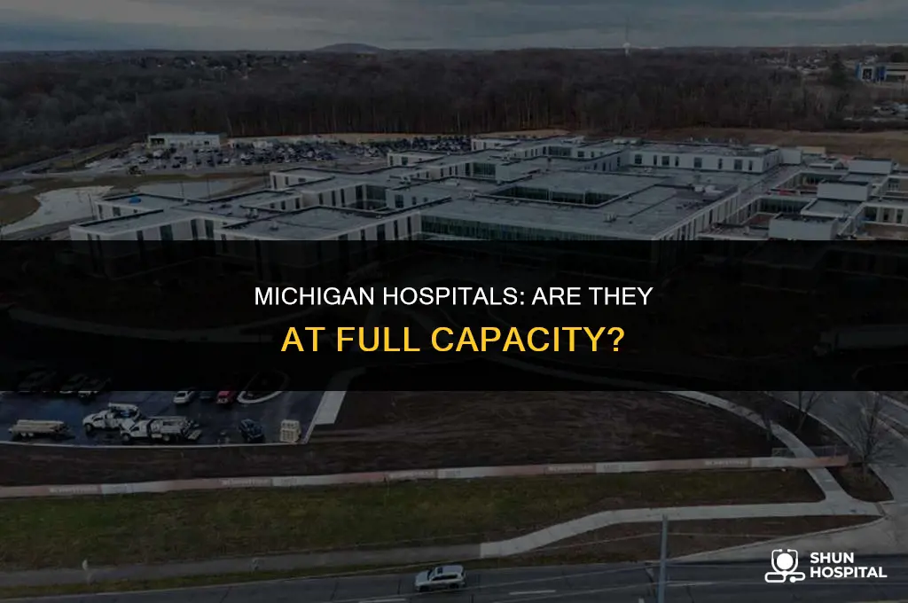 are the hospitals full in michigan