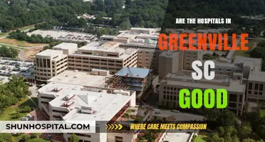 Healthcare in Greenville, SC: Top-Notch Treatment