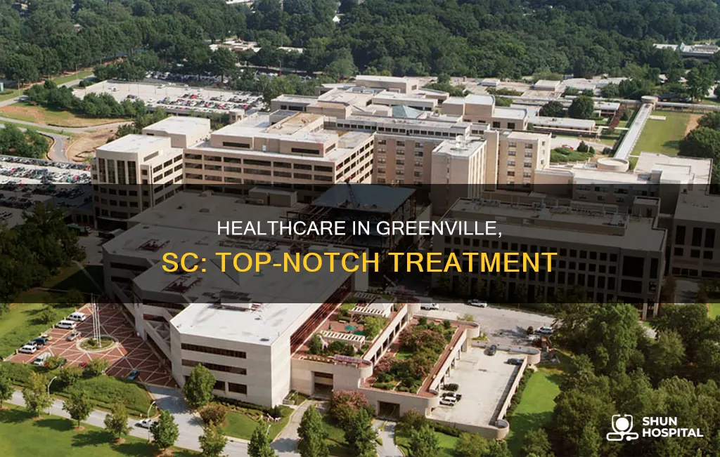 are the hospitals in greenville sc good