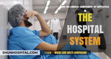 Nurses: The Largest and Most Vital Component of Hospital Systems