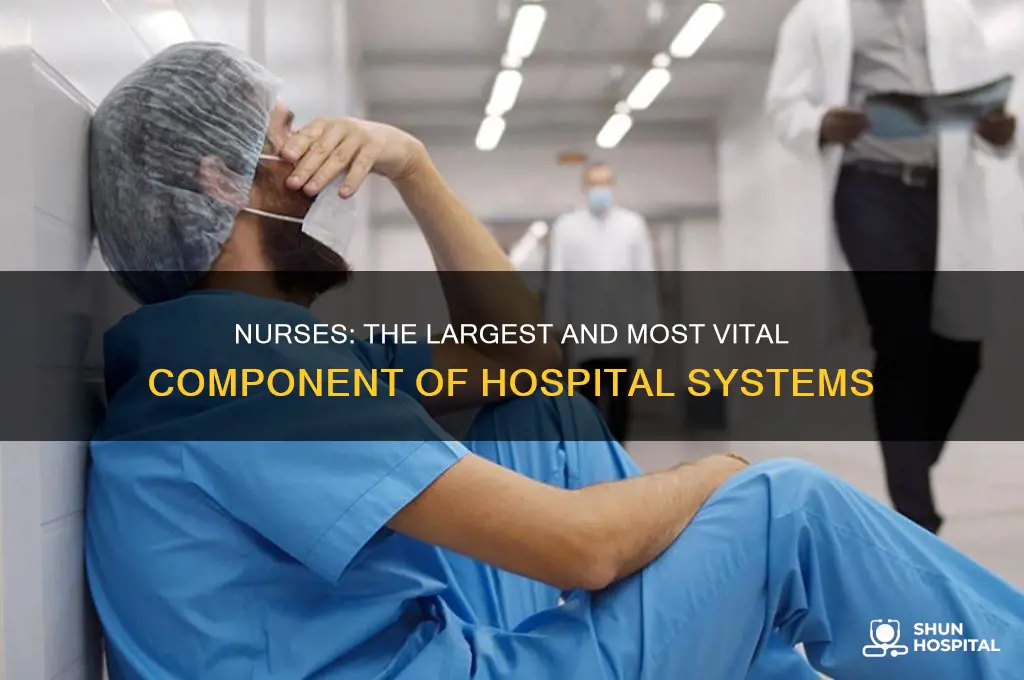 are the largest component of employees in the hospital system