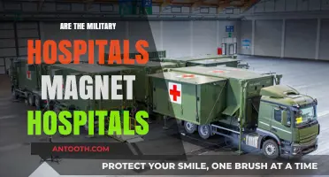 Exploring the Role of Military Hospitals as Magnet Hospitals