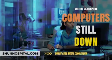 US Hospital Computers: Down and Out?