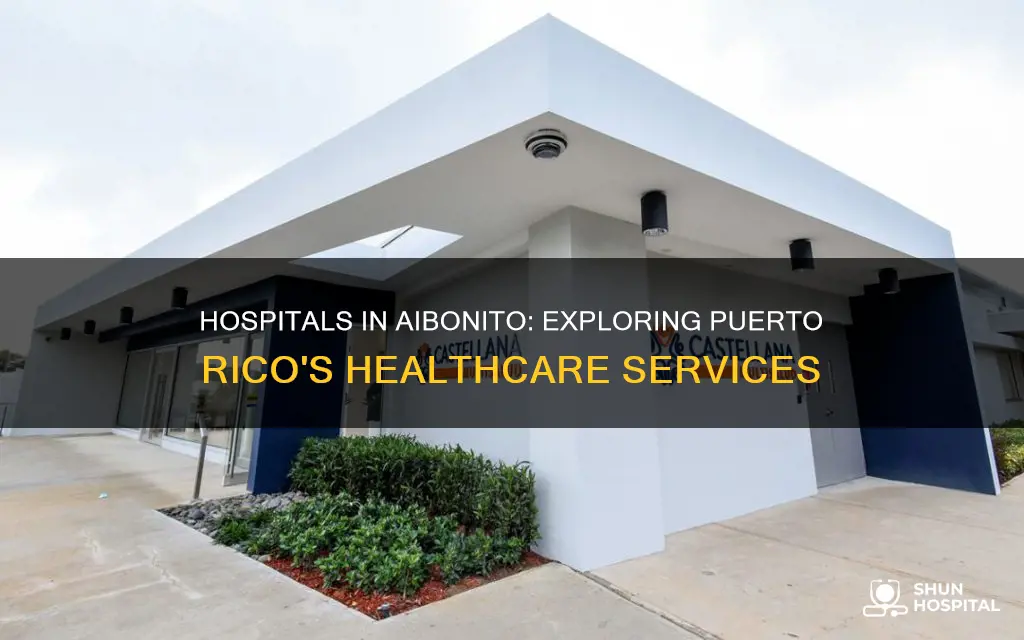 are their hospitals in aibonito puerto rico