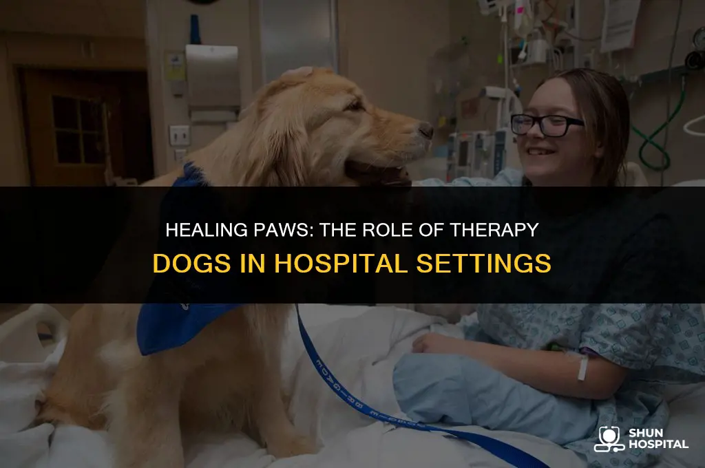 are therapy dogs allowed in hospitals