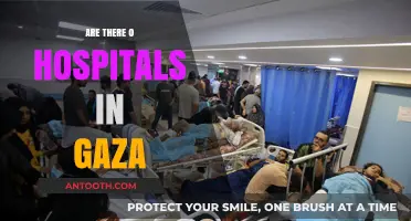 Exploring the Healthcare Crisis: Gaza's Hospital Situation Unveiled