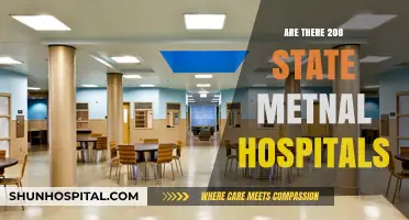 Exploring the Landscape of State Mental Hospitals: A Comprehensive Overview