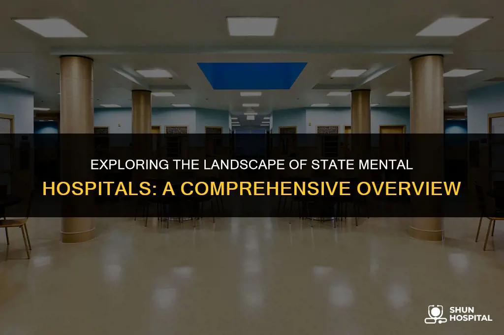 are there 208 state metnal hospitals