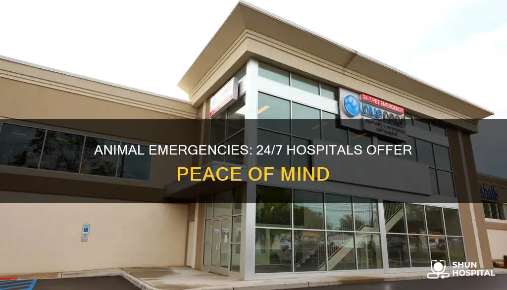 are there 24 7 animal hospitals open