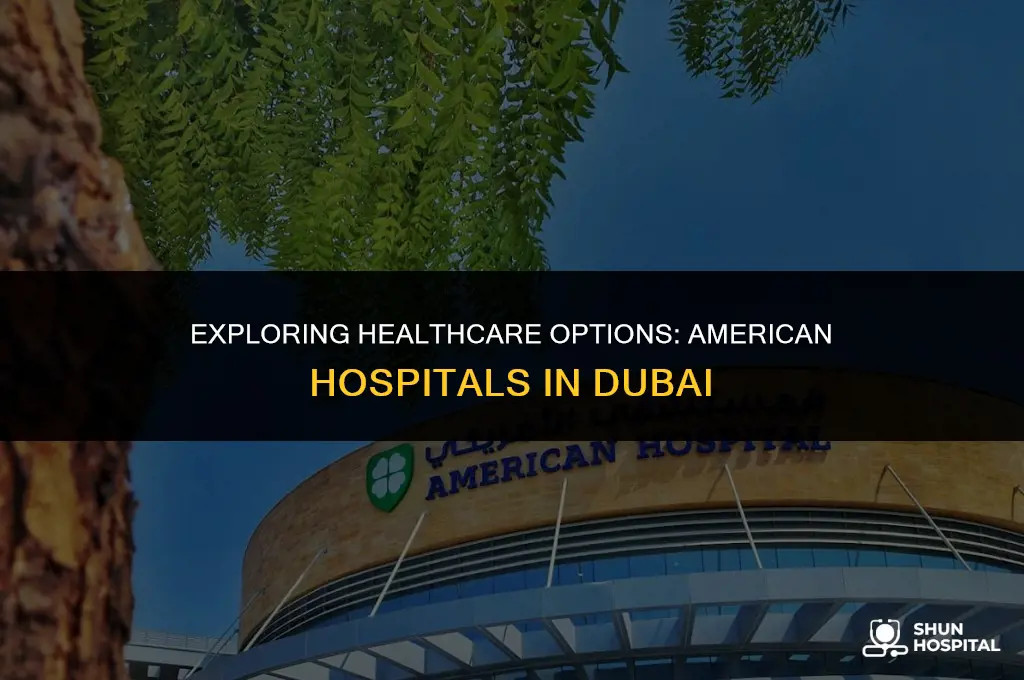 are there american hospital in dubai