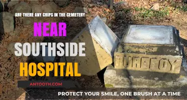 Exploring the Truth: Crips Presence Near Southside Hospital Cemetery