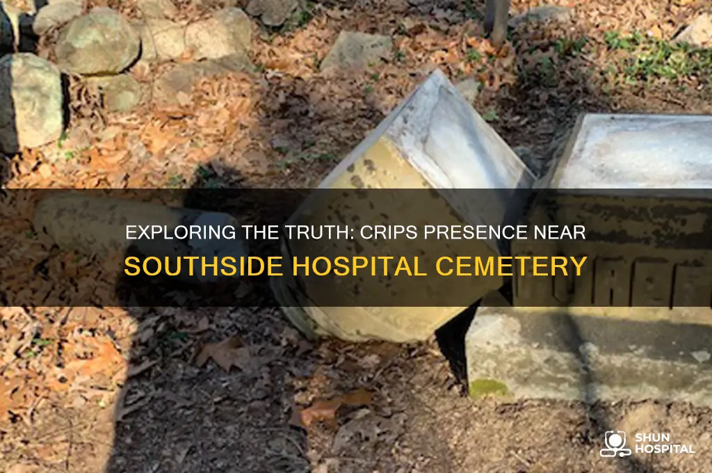 are there any crips in the cemetery near southside hospital