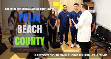 Exploring Critical Access Hospitals in Palm Beach County: Availability and Insights