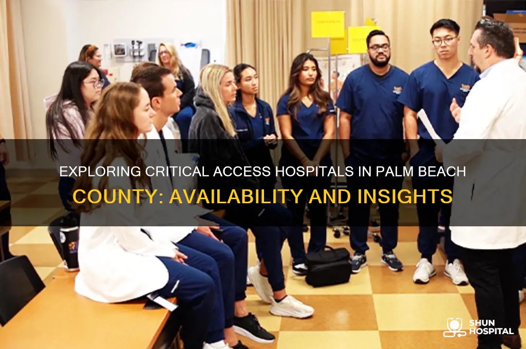 are there any critical access hospitals in palm beach county