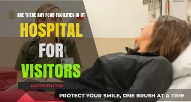 UT Hospital Visitor Food Options: What's Available for Guests?