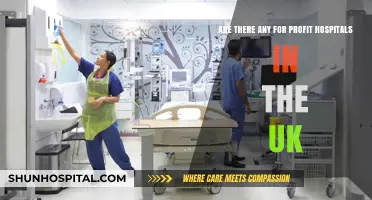 For-Profit Hospitals in the UK: Myth or Reality?