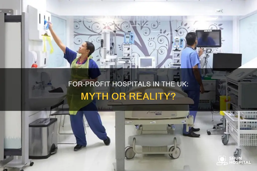are there any for profit hospitals in the uk