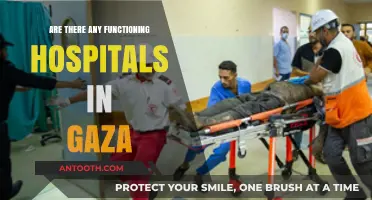 Gaza's Healthcare: Functioning Hospitals Amidst Conflict