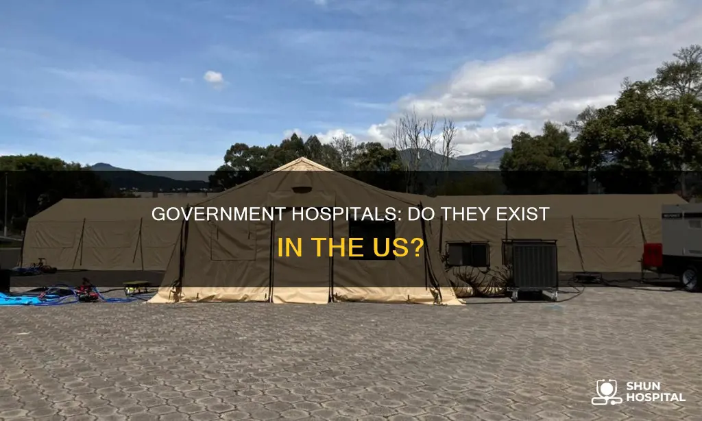 are there any government hospitals in us